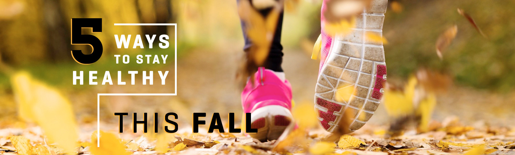 5 Ways to Stay Healthy This Fall banner
