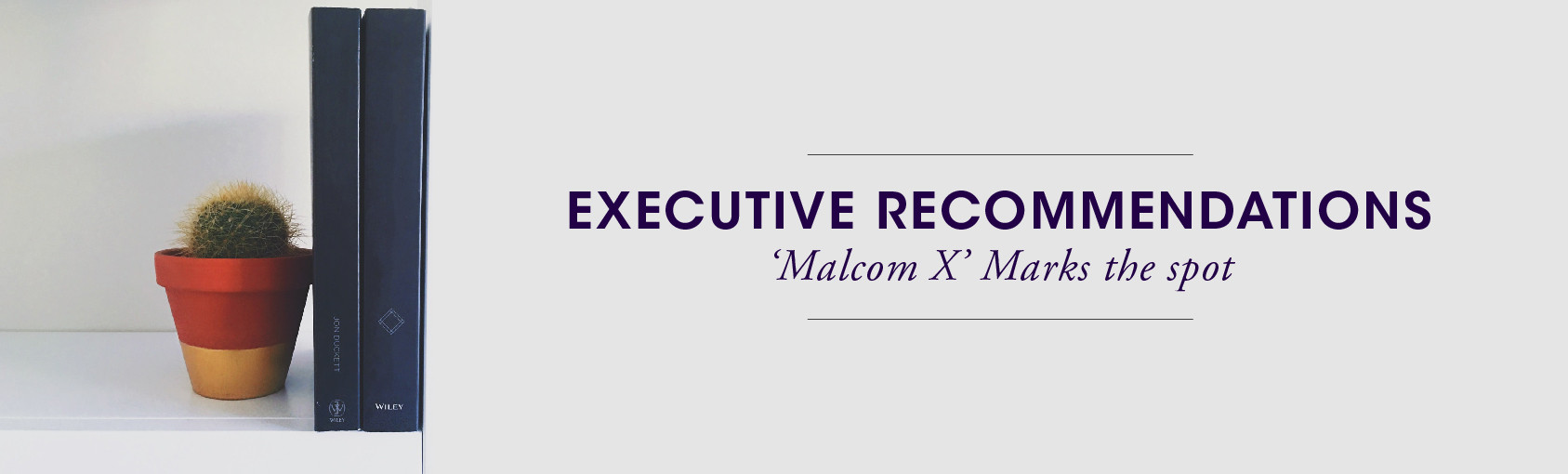 Executive Recommendations: Malcom X Marks the Spot banner