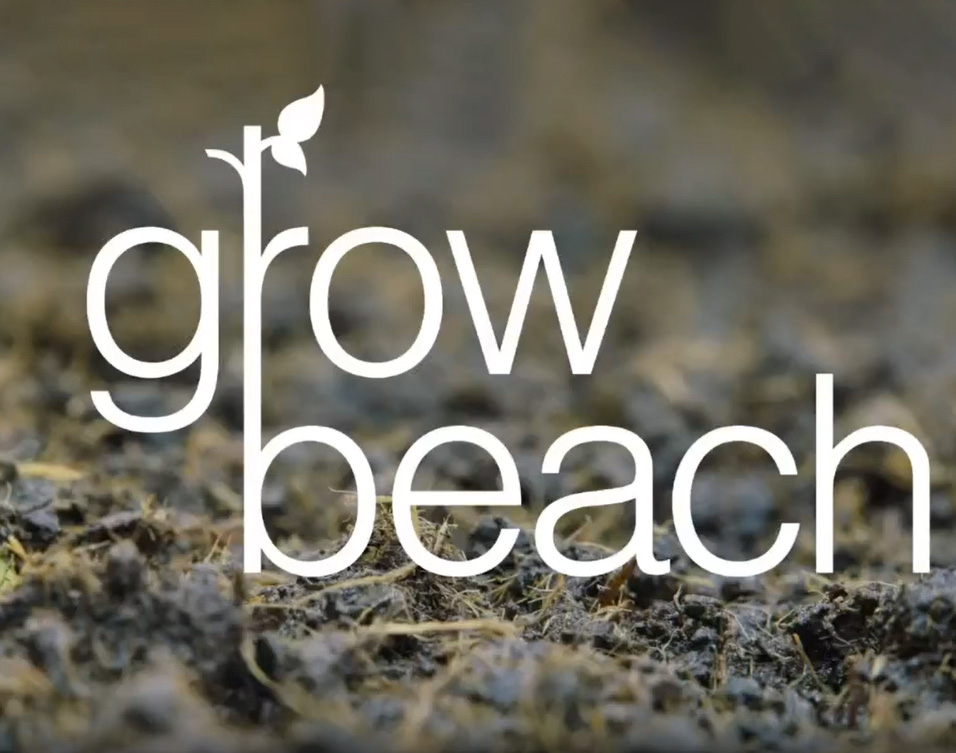 Grow Beach